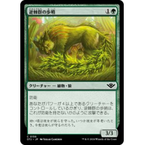 画像: 【JPN/OTJ/Foil★】逆棘群の歩哨/Bristlepack Sentry [緑] 『C』