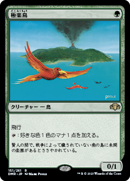 画像1: 【JPN/DMR】極楽鳥/Birds of Paradise